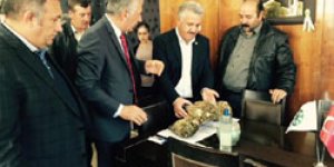 Arslan ve Beyribey, Şeker Fabrikasında