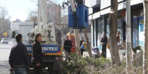 Kars’ta Ağaçlar Budanıyor
