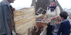 Kazlar sandıklarda muhafaza ediliyor