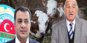 Şap, sıcak paranın önünü kesti