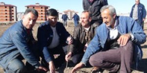 Şeker’de ağaç dikim kampanyası