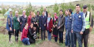 AK Partiden Anneler Günü Etkinliği