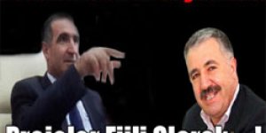 Projeler Fiili Olarak Faaliyete Geçirilecek