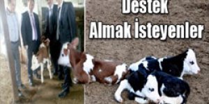 Desteklemelerdeki değişiklikler aktarıldı