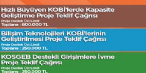 KOBİ Gelişim Destek Programı