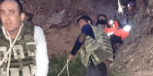 Kars ta Ayı Saldırısı: 2 Ölü, 2 Yaralı