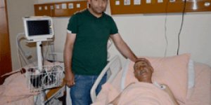 Ayı saldırısı