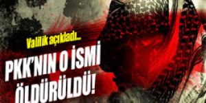 PKK’nın Çemçe Bölgesi Sorumlusu Öldürüldü