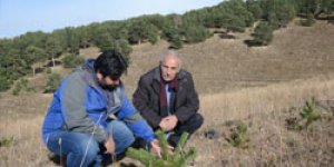 Sarıkamış’a ne ekersen yakışıyor