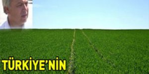 TEMA’nın Dünya Gıda Günü açıklaması