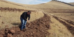 Kars her geçen yıl daha yeşil olacak