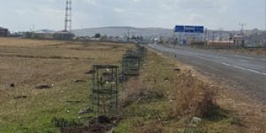Kars’tan Ani’ye Kadar Yeşil Koridor