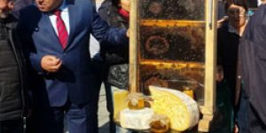 Kafkas arıları İstanbul’da tanıtıldı