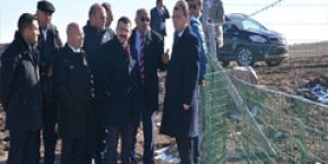 2016 yılı iş sezonunda tamamlandı