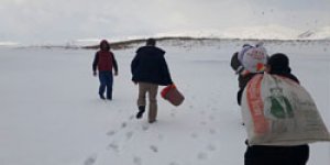 Kars’ta kuşlara yem bırakıldı
