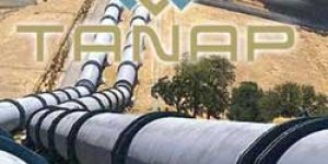 Özel Danışmanlık Firmalarına İnanmayın