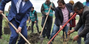 Kars Denetimli Serbestlik Müdürlüğü Hatıra Ormanı Oluşturdu