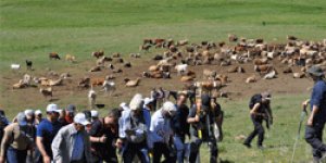 Karsta Yayla Şenliği