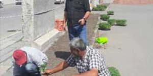 Mevsimlik Çiçek Ekimi Yapılıyor