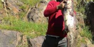 Kars Çayı’da boyu kadar balık tuttu