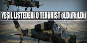 Öldürülen terörist yeşil listede