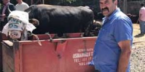 Hayvan Pazarı’nda durgunluk yaşanıyor