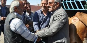 700 kiloluk Mercan 11 bin liraya satıldı