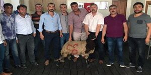 Ülkü Ocakları Şehit ailelerini unutmadı