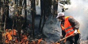 Sarıkamış ormanları alev alev yanıyor