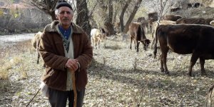 Sıcak hava en çok hayvancılıkla uğraşanlara yaradı