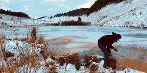 Donan gölde yaşayan ördeklere yem desteği