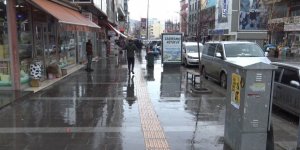 Kars'ta zemheri ayında bahar yaşanıyor
