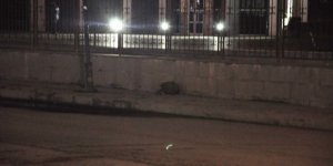 Kars'ta şüpheli çantadan eşyalar çıktı