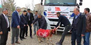 Kars'tan Afrin’e canlı hayvan desteği 