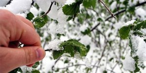 Meteorolojiden zirai don uyarısı