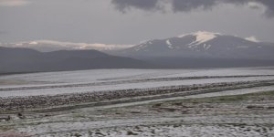 Kars’ta ekili alanları dolu vurdu