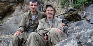 Kars, Erzurum, Bitlis ve Ardahan illerinde çok sayıda terör eylemi gerçekleştiren terörist öldürüldü