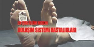 Kars’ta 2017 yılında 477 kişi dolaşım sistemi hastalıklarından hayatını kaybetti