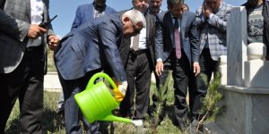 Kars Belediyesi mezarlıkları ağaçlandırıyor