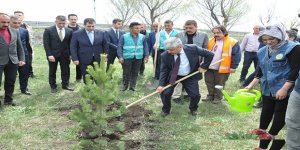 Denetimli Hükümlüler Fidan Dikti