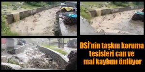 DSİ’nin taşkın koruma tesisleri can ve mal kaybını önlüyor