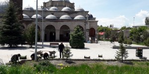 Kars’ta tarihi mekanların etrafı çiçek açtı 