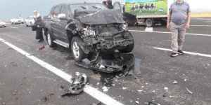 Pick-up böyükbaş hayvanlara çarptı, 2 büyükbaş hayvan telef oldu
