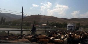 Yaylacılar evlerine dönmeye başladı