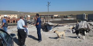 Kars Belediyesi Modern Hayvan Kliniği’nin temellerini attı