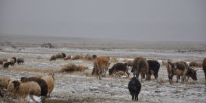 Kars’ta kar ve tipiye yakalanan çobanlar zor anlar yaşadı