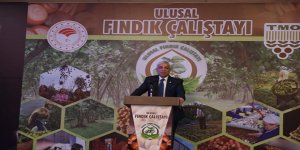 Yunus Kılıç, Ulusal Fındık Çalıştayı'na katıldı