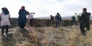 Kars’ta üniversite öğrencileri fidan dikti 