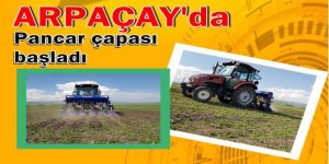 Arpaçay'da çapa işleri başladı