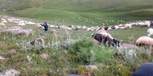 Yıldırım, Kars köylüsünün korkulu rüyası